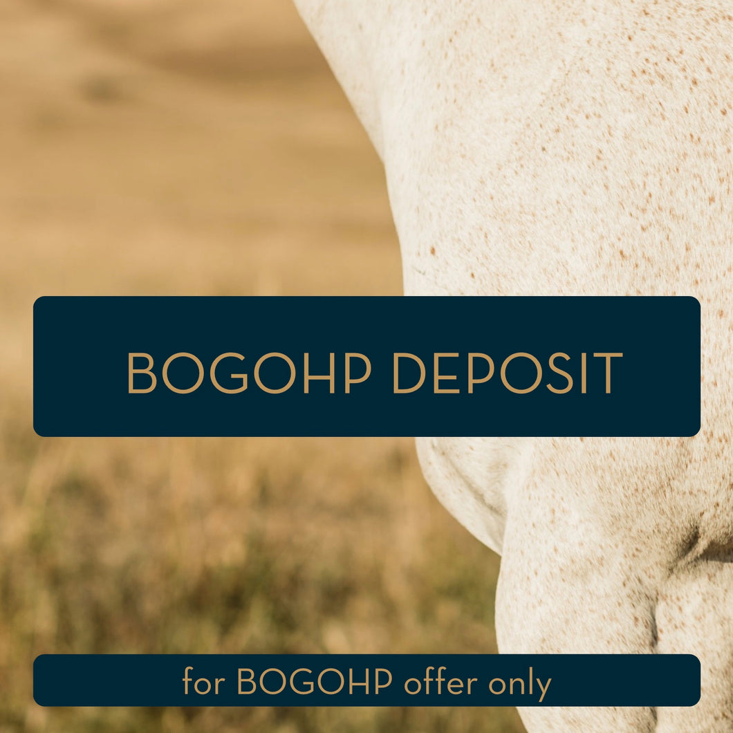 BOGOHP DEPOSIT