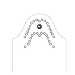 Swarovski 18
